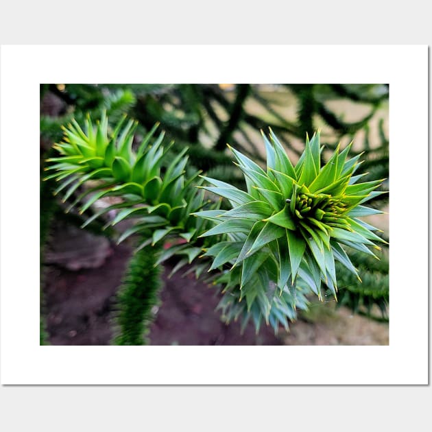 Monkey Puzzle Tree Wall Art by Rebekah Slick